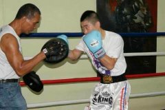 ���˻�������WBC�������㼶ȭ��ͷ��