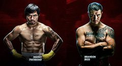 ������Vs���˹ֱ����ʾ