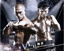һ��Vs������Ƶ���ַ��ս�ۺ��