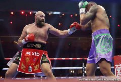 ����������ȭ��̩ɭ-����ƻ�2026�긴��