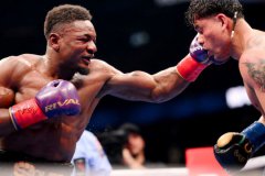 ������ķ��������ΪWBC����������ʽȭ��