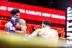 ʷ����ɭ�����-������ֻ����ȭһ������